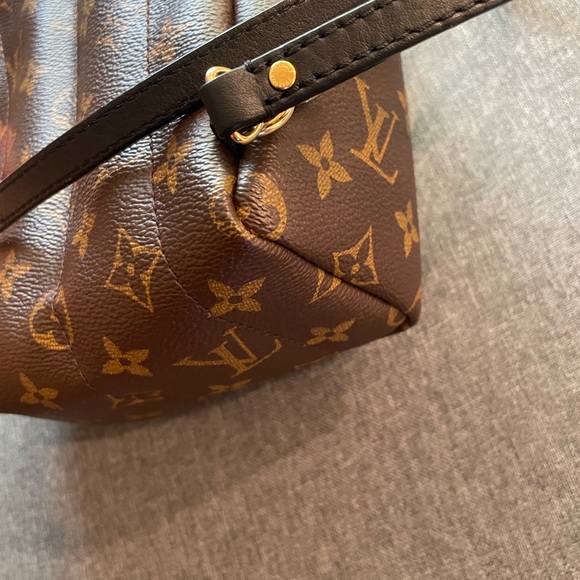 Louis Vuitton mini Palm Springs - Picture 5 of 15